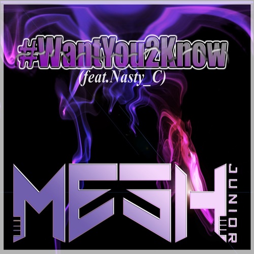 Download Mesh Junior Want You 2 Know Ft Nasty C Fakaza
