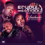 Sdudla Noma1000 – Umshado ft. Professor