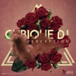Cubique DJ – Perception