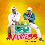 Distruction Boyz – Madness ft. Tipcee
