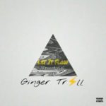 Ginger Trill – Let It Flow (Shane Eagle Cover Freestyle)