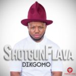 ShotGun Flava – Dikgomu ft. Pyrobeats + VIDEO