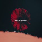Flex Rabanyan – Wadlala Ngam’ (Xoli) ft. Bhuga Bhengu