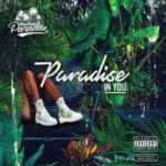 ALBUM: Palm Tree Paradise – Paradise In You