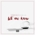 Ginger Trill – Let Me Know ft. Ayanda Jiya