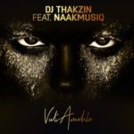 DJ Thakzin – Vul’Amehlo ft. NaakMusiQ