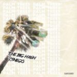 The Big Hash – Palm Trees ft. Tshego