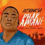 DJ Sonic SA – Phakamani ft. DJ Sox, Emza, Bhizer & C Sharp