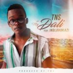TNS – My Dali ft. Indlovukazi