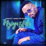 Donald – Ngiyazfela ft. Mlindo The Vocalist