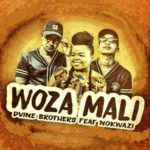 Dvine Brothers – Woza Mali ft. Nokwazi (Original Mix)