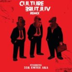 25k – Culture Vulture (Remix) ft. AKA & Emtee