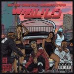Dr Peppa – What It Is ft. Riky Rick, Lucasraps & Chang Cello
