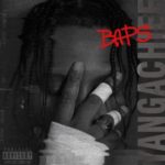 ALBUM: Yanga Chief – Becoming A Pop Star (BAPS)