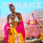 Toya Delazy – Funani