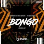 Afro Warriors, Duplo Impacto & Jim MasterShine – Bongo