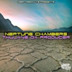 Thulane Da Producer – Neptune Chambers