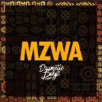 DrumeticBoyz – MZWA