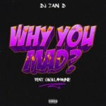 DJ Zan D – Why You Mad ft. Gigi Lamayne