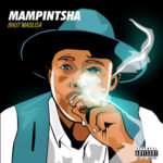Mampintsha – 123 ft. DJ Tira & Sbo Afroboys