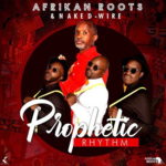 ALBUM: Afrikan Roots – Prophetic Rhythm 