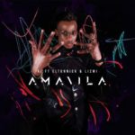 AJ – Amavila ft. Eltonnick & Lizwi