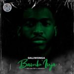 Daliwonga – Bamb’inja ft. MDU aka TRP & Bongza