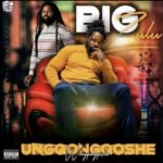 Big Zulu – Vuma Dlozi ft. Mnqobi Yazo
