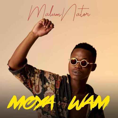 MalumNator – Aw’Yebo