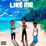 Priddy Prince – Like Me ft. Ex Global & Krish