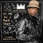 Andile Mpisane – It’s Too Much Sauce ft. Lady Du, Reece Madlisa & Zuma