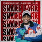 Cyfred – Snake Park ft. Mr JazziQ, Mellow, Sleazy, Seekay & Fake Love