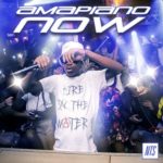 ALBUM: Various Artists – Amapiano Now