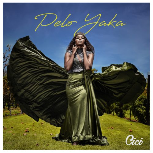 Cici - Pelo Yaka