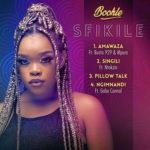 Boohle – Singili ft. Ntokzin