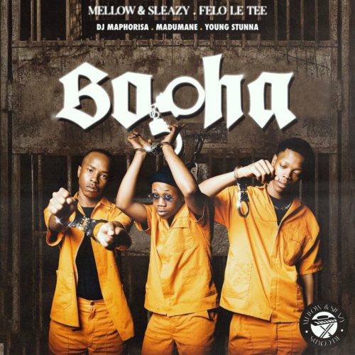 Felo Le Tee, Mellow & Sleazy - Bopha ft. Young Stunna, Kabza De Small & Madumane (Official Audio)