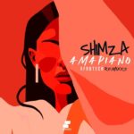 Shimza – Amapiano Afrotech Remixes – EP