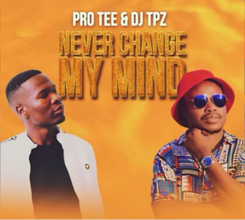 Pro-Tee & DJ TPZ - Never Change (Original-Mix)