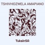 TuksinSA – Tshivhidzwela Amapiano