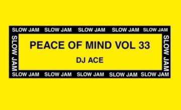 DJ Ace - Peace of Mind Vol 33 (Classic House B2B Mix)