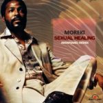 Moreki – Sexual Healing (Amapiano Remix)