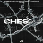 S’tukzin Da DJay – Chesta ft. Mellow & Sleazy, Tranquillo & DJ 787