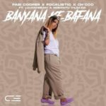 Pabi Cooper, Focalistic & Ch'cco - Banyana Ke Bafana ft. LuuDadeejay & Nobantu Vilakazi