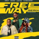 Tripsy, Lady Du, Davido & Nektunez – Freeway ft. DJ Pee Raven (Remix)