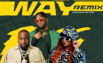 Tripsy, Lady Du, Davido & Nektunez - Freeway ft. DJ Pee Raven (Remix)