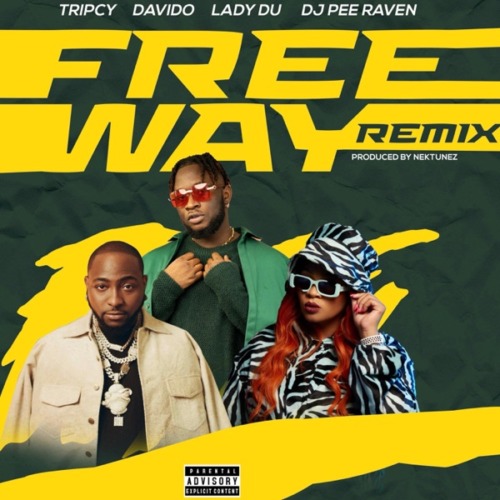 Tripsy, Lady Du, Davido & Nektunez - Freeway ft. DJ Pee Raven (Remix)