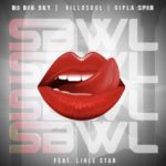 DJ Big Sky – SBWL ft. Gipla Spin, Villosoul, LIHLE STAR