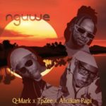 Q-Mark, TpZee & Afriikan Papi – Nguwe