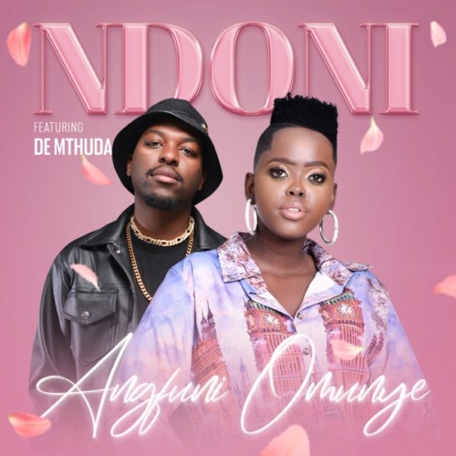 Ndoni - Angfuni Omunye ft. De Mthuda & Da Muziqal Chef