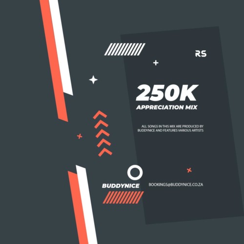 Buddynice – 250K Appreciation Mix